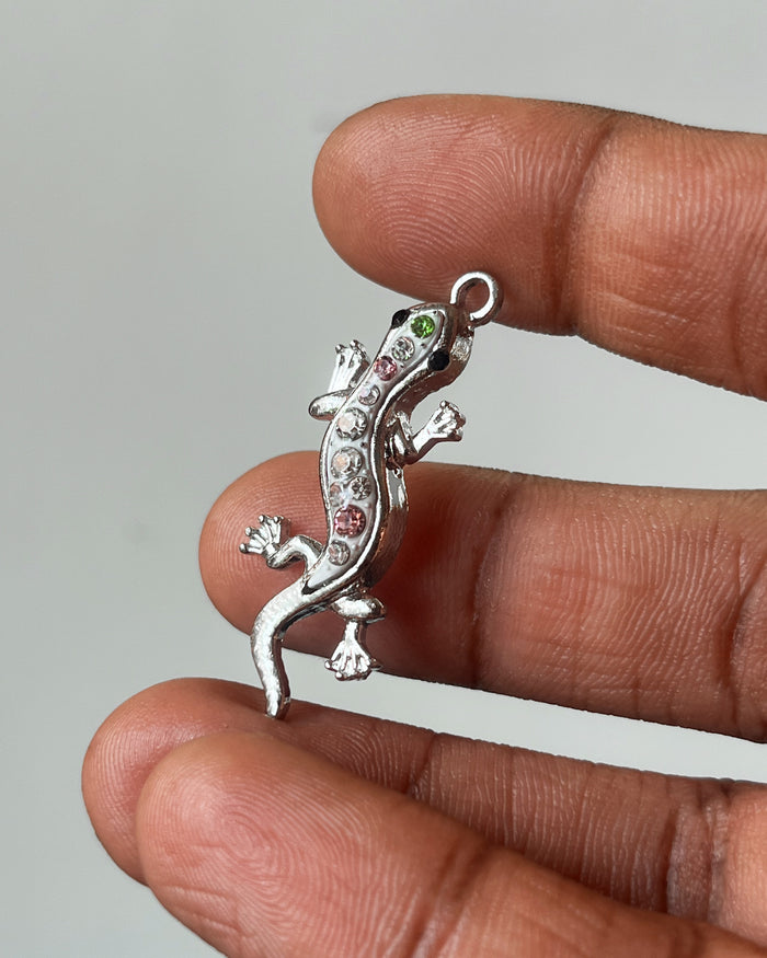 Chipkali charm - 1 pc