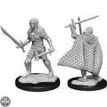 Elf Fighter Male D&D RPG Miniatures WizKids
