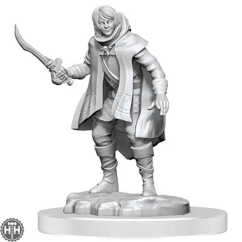 D&D Elf Rogue & Half-Elf Rogue Protege D&D RPG Miniatures WizKids
