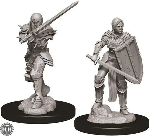 Female Human Fighter D&D RPG Miniatures WizKids