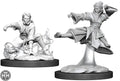 Female Human Monk D&D RPG Miniatures WizKids