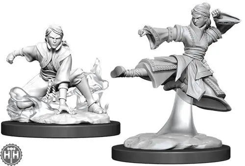 Female Human Monk D&D RPG Miniatures WizKids
