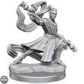 D&D Frameworks: Elf Monk Male D&D RPG Miniatures Wizkids