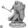 D&D Frameworks: Human Cleric Male D&D RPG Miniatures Wizkids