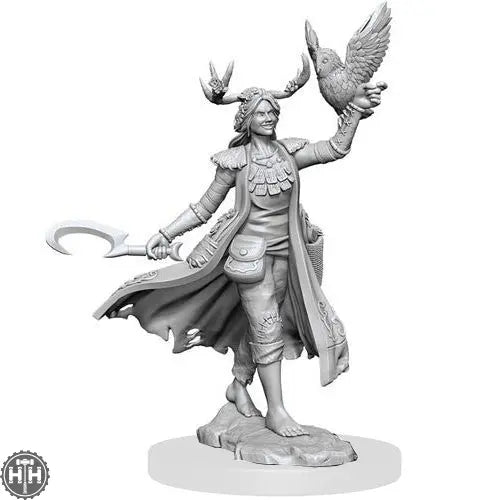 D&D Frameworks: Human Druid Female D&D RPG Miniatures Wizkids