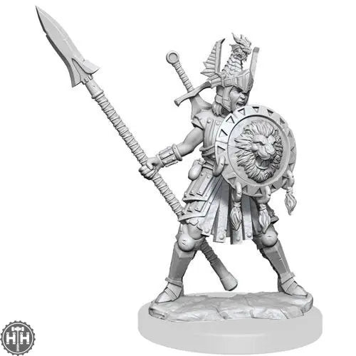 D&D Frameworks: Human Fighter Female D&D RPG Miniatures Wizkids