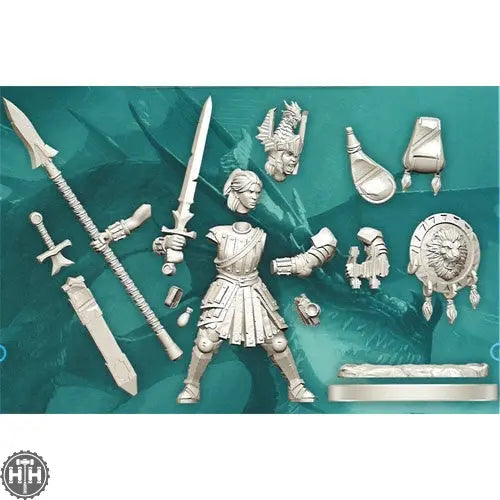 D&D Frameworks: Human Fighter Female D&D RPG Miniatures Wizkids