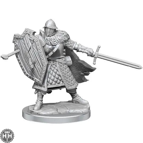 D&D Frameworks: Human Fighter Male D&D RPG Miniatures Wizkids