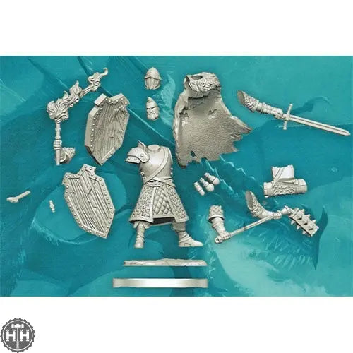 D&D Frameworks: Human Fighter Male D&D RPG Miniatures Wizkids