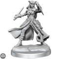 D&D Frameworks: Tiefling Rogue Female D&D RPG Miniatures Wizkids