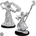 Male Human Sorcerer D&D RPG Miniatures WizKids