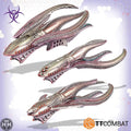 Succubus Destroyers Generic TTCombat