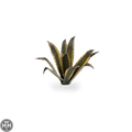 Laser Plants - Agave Laser Plants Gamers Grass