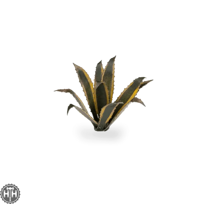 Laser Plants - Agave Laser Plants Gamers Grass