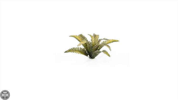 Laser Plants - Deer Fern Laser Plants Gamers Grass