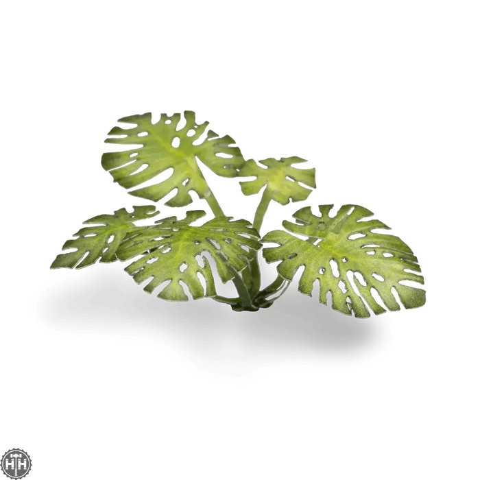 Laser Plants - Monstera Laser Plants Gamers Grass