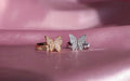 Mariposa Ring