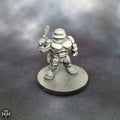 RoboDwarf Custom Models HammerHouse