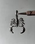 Scorpion Charm