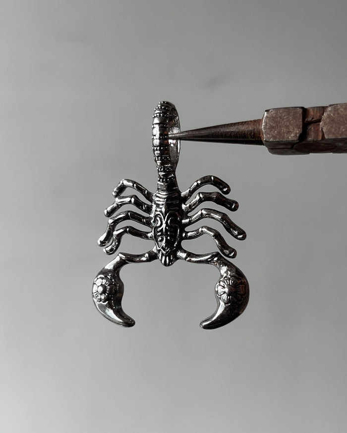 Scorpion Charm