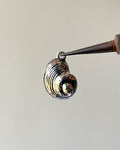Shell charm 1 pc
